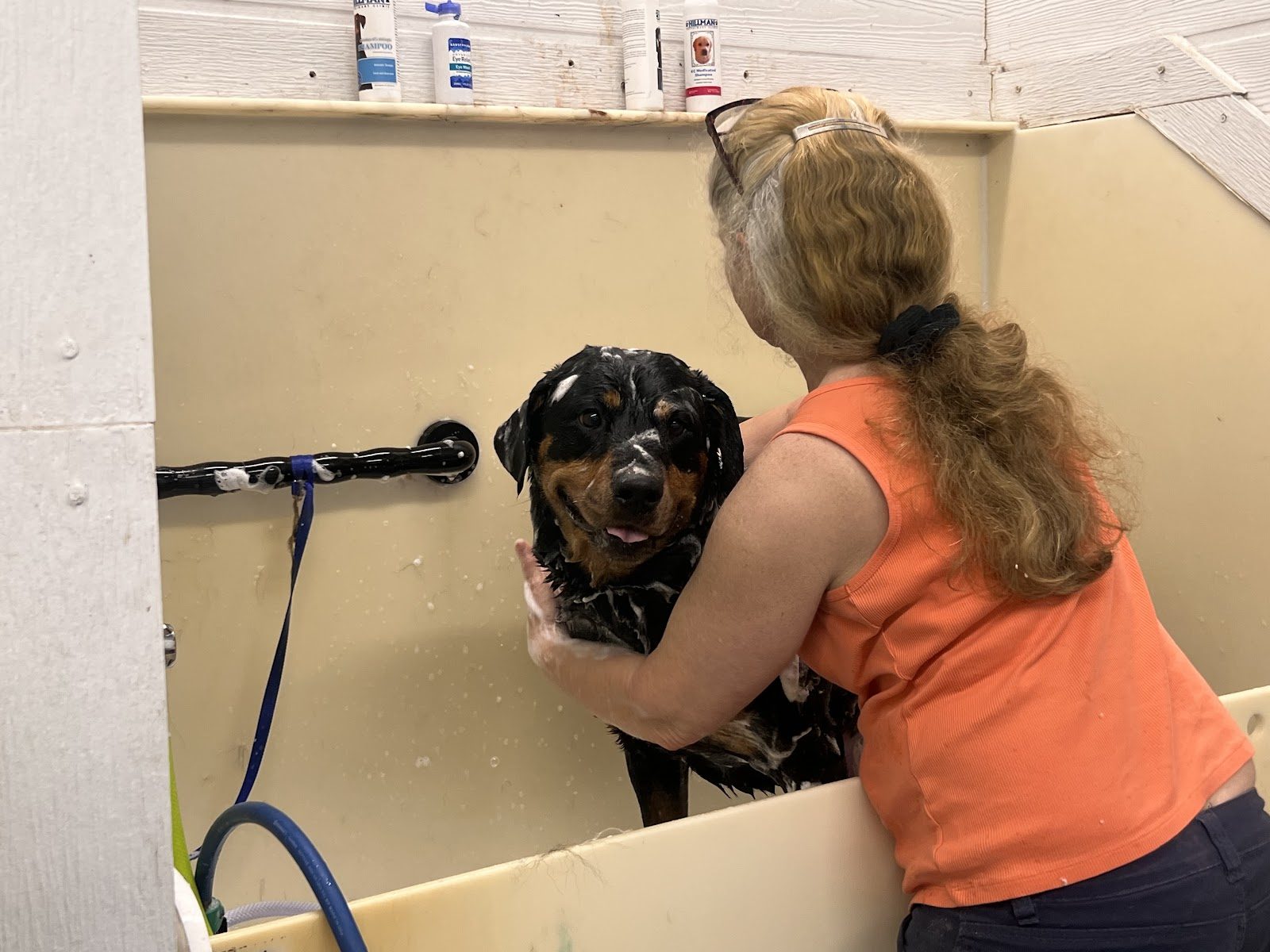 Barbara giving a dog a gentle spa bath at Sellers Pet Grooming
